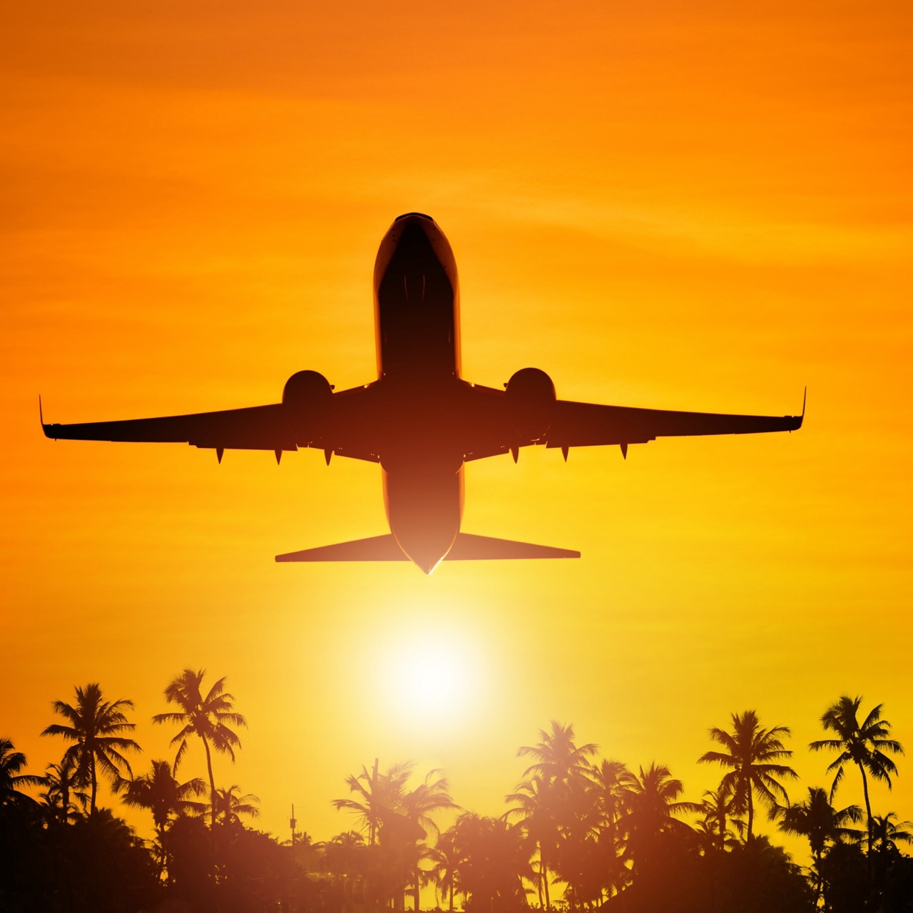 Travel Enquiry